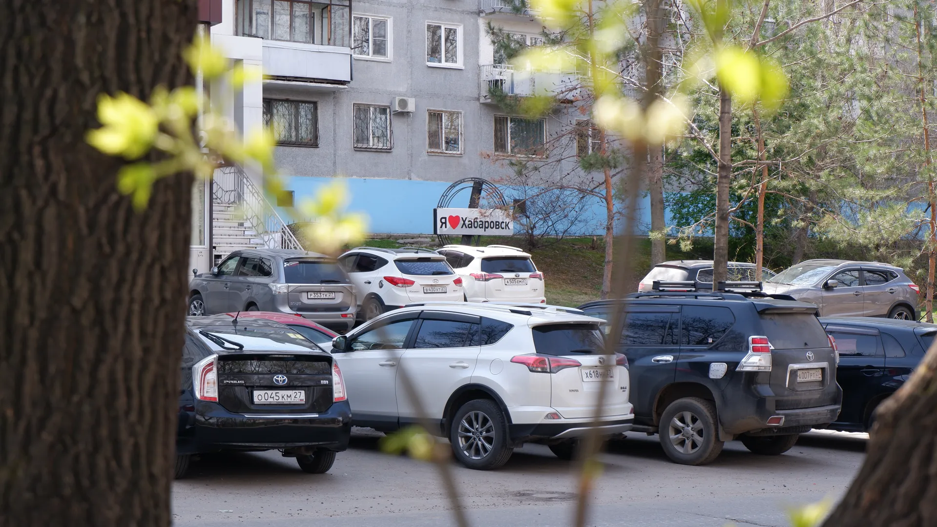 停车场内停着多辆车,车牌清晰可见。背景中有建筑物和树木,树叶呈嫩黄色。前景中有树干遮挡部分视线。