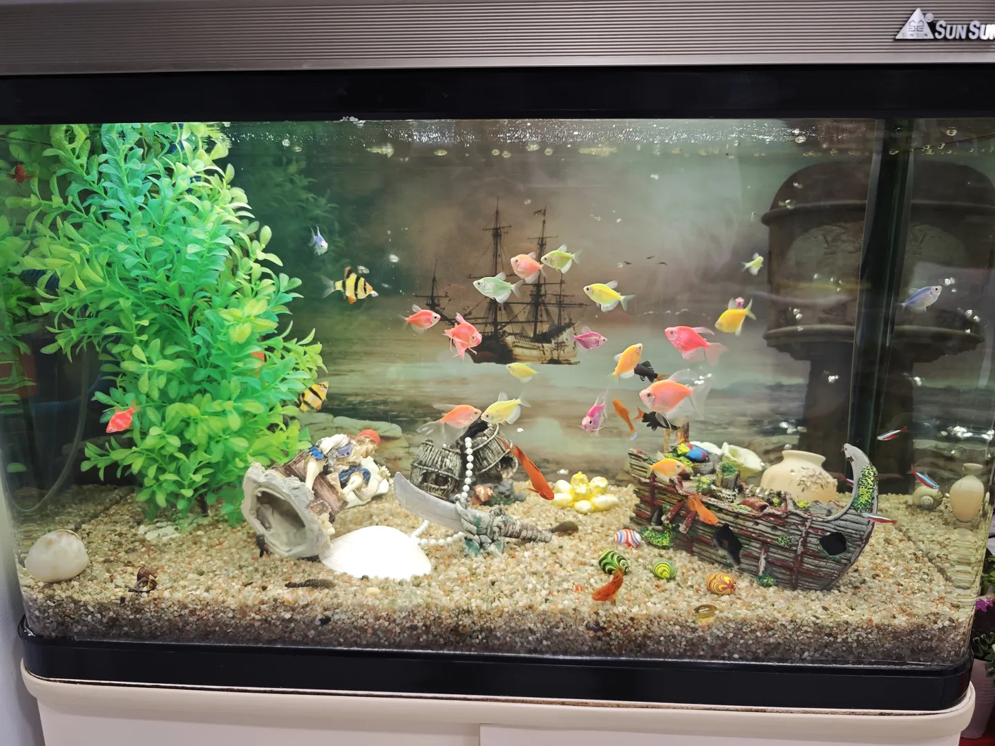 一个水族箱内有多条色彩斑斓的鱼在游动,箱内装饰有绿色植物、沉船模型和各种小饰品。背景是一幅海洋画,描绘了一艘帆船和灯塔。水族箱底部铺满了细沙和贝壳。