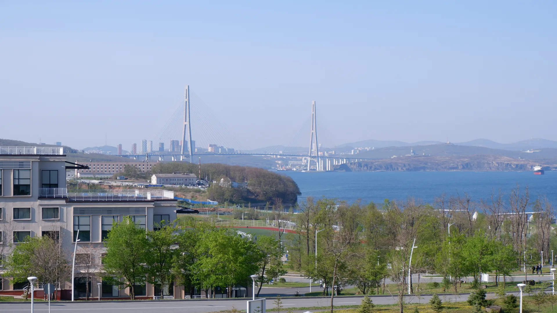 远处是一座跨海大桥,连接着两岸的城市景观。前景中有树木和一些建筑物,水面平静。天空晴朗,视野开阔。