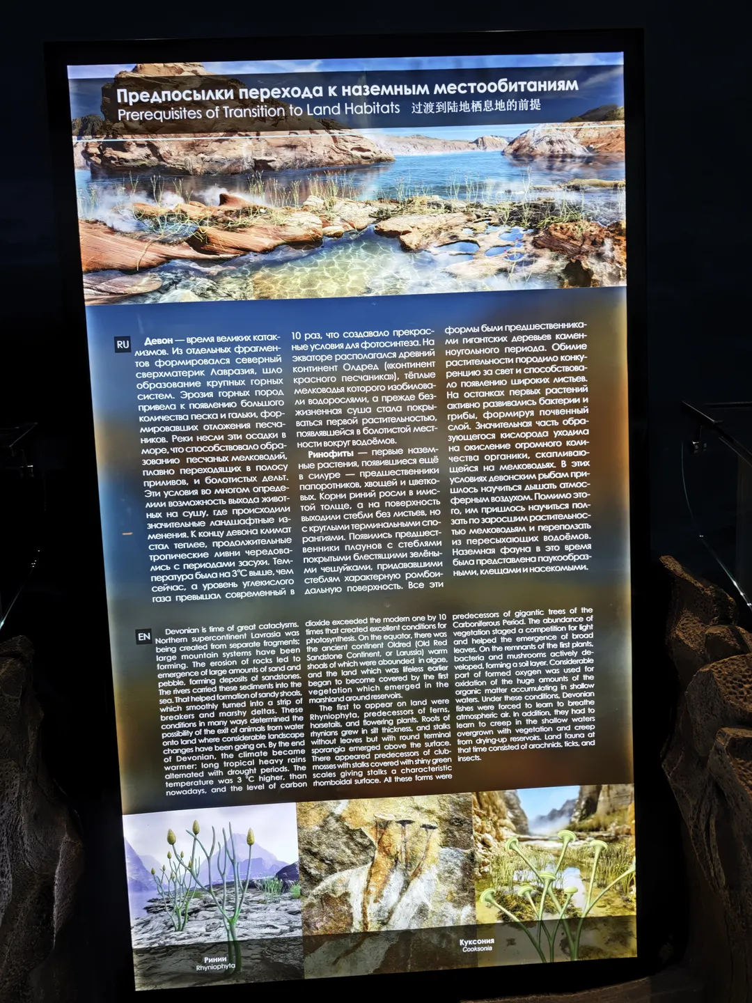 过渡到陆地栖息地的前提,展示板介绍了泥盆纪时期环境变化对生物的影响,包括植被和动物的适应性进化。下方有植物和早期陆生动物的插图。