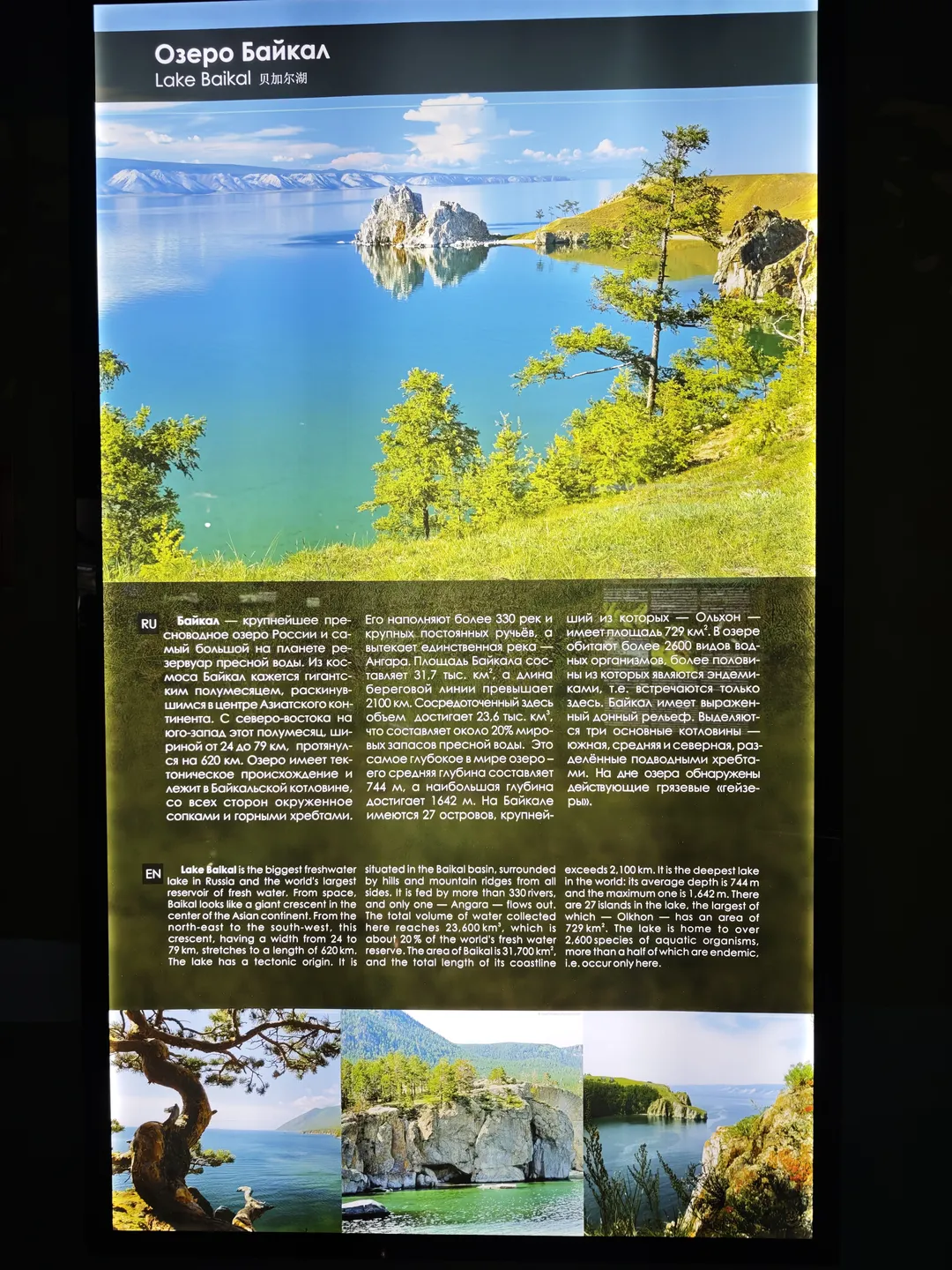 贝加尔湖的介绍展示了湖边的自然风光,包括清澈的湖水和茂密的植被。文本详细描述了贝加尔湖的地理特征,如面积、深度和岛屿数量。贝加尔湖是地球上最古老的湖泊之一,拥有众多特有的动植物种类。