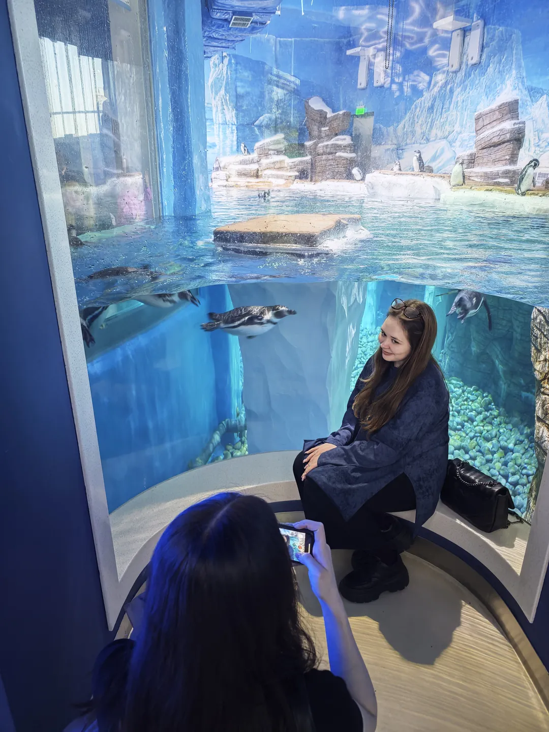 一位女士坐在水族馆的座椅上,面前是企鹅展区的玻璃窗。另一位女士正在用手机拍摄。水族馆内灯光柔和,企鹅在水中自由游动。