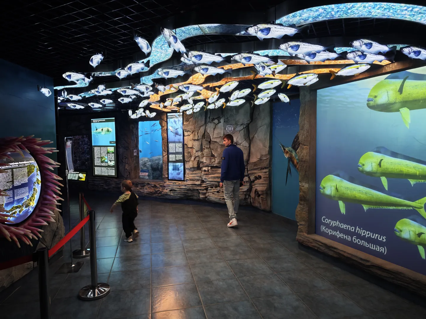 水族馆展厅内,天花板上悬挂着许多鱼形装饰,墙上有多块信息板。几位游客在展厅内参观,其中一位男士和一位小孩正在行走。墙上的信息板展示了不同鱼类的信息。