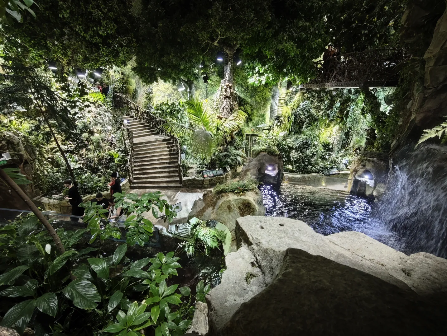 室内植物园中绿植茂盛,中央有一条小溪和瀑布,水流从岩石上落下。台阶通向高处,周围布满各种热带植物。顶部有灯光照明,环境显得生机勃勃。