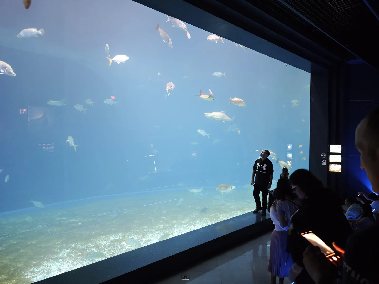 大型水族馆展示区前聚集了一些参观者,水族箱内有许多鱼类游动,水面平静。一位穿着黑色衣服的人站在水族箱前,右侧有人手持手机拍照。水族箱底部有沙地,鱼类种类多样。