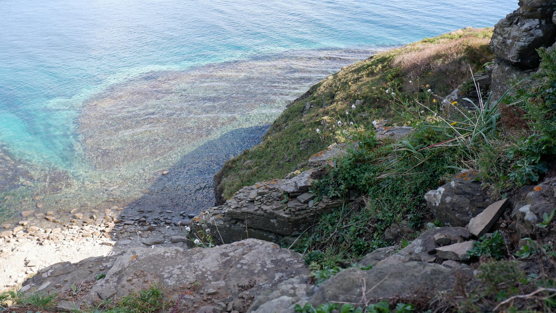 清澈的海水拍打着岩石海岸，周围有一些绿色植物。