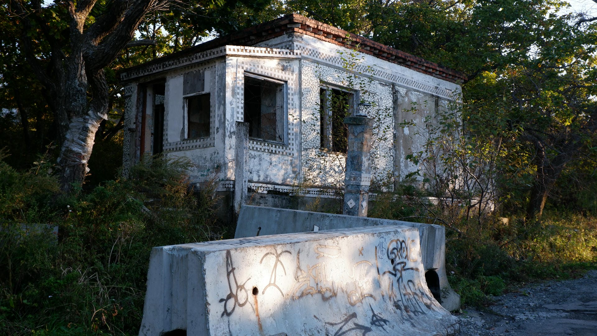 废弃建筑外墙有涂鸦，周围杂草丛生。